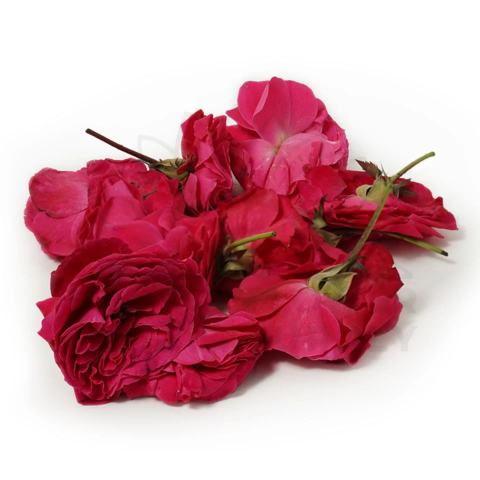 Fresh Lose Rose flower - Image 2